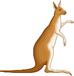 Kangaroo 4